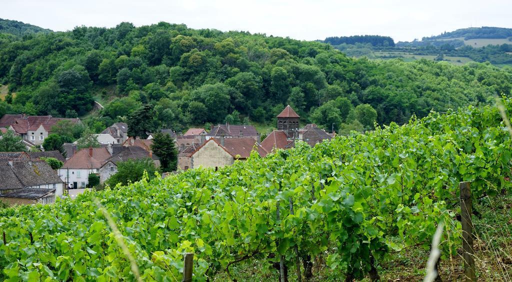 Village dans les vignes